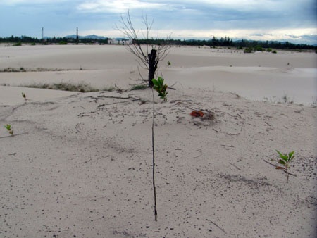 Điều kỳ diệu giữa vùng sa mạc hóa