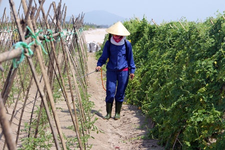 Điều kỳ diệu giữa vùng sa mạc hóa - 7 Hồ rộng hàng trăm mét vuông này nhằm lấy nước phục vụ tưới tiêu.
