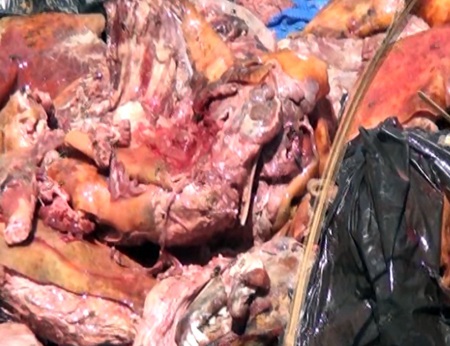 Toàn bộ số thịt bẩn bị thu giữ