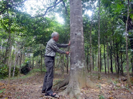Ông Phương với gốc trầm đã được thương lái trả giá trên 100 triệu đồng