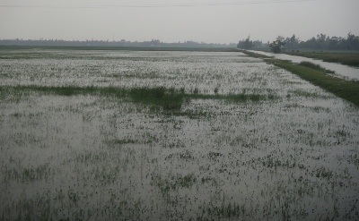 Khu vực xảy ra sự việc