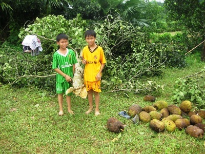 3 người thiệt mạng, lốc xoáy tốc mái, mưa ngập hàng trăm nhà dân - 5