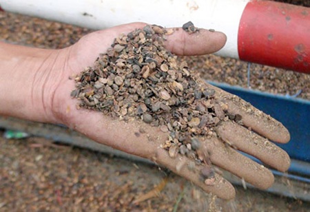 Khởi tố Chủ tịch, giám đốc “thế chấp 800 tấn rác” - 1 800 tấn rác gồm sỏi, vỏ
cà phê, tro trấu... được ngụy trang trong các bao tải trộn lẫn trong kho.