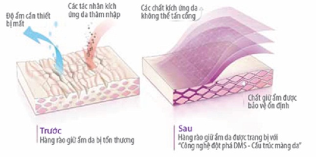 Chọn bạn đồng hành cho làn da bạn - 2 Tác dụng
của sản phẩm dưỡng ẩm có công nghệ DMS