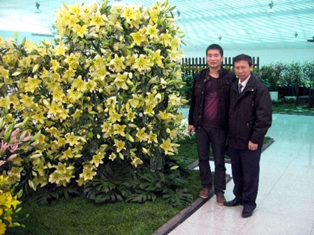 Ts.Đặng
Văn Đông (bên phải) bên những góc hoa ly