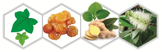 Bí quyết giúp bé giảm ho khi giao mùa - 2 Ho gây ra nhiều ảnh hưởng tiêu cực đến sức khỏe và sinh hoạt
mỗi ngày của trẻ