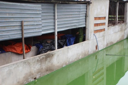 Triệt phá “đại” trang trại giết hại rùa biển ngâm tẩm hóa chất