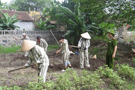 Hành trình cảm hóa cái ác - 1 Nữ quản giáo Nguyễn Thị Kiều Anh hướng dẫn phạm nhân
lao động.