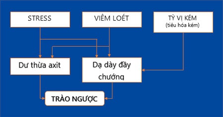 Nguy cơ ung thư từ trào ngược kéo dài - 2 3 nguyên nhân và cơ chế gây bệnh trào ngược