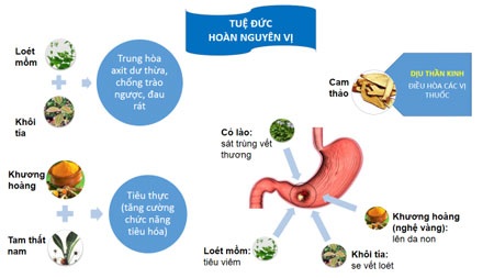 Nguy cơ ung thư từ trào ngược kéo dài - 3 Thực phẩm
chức năng Tuệ Đức Hoàn Nguyên Vị - giảm trào ngược, khỏe dạ dày