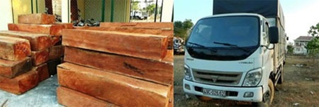 Khởi tố kiểm lâm dẫn đường cho lâm tặc bỏ chạy - 1 Khởi tố kiểm lâm dẫn đường cho lâm tặc bỏ chạy