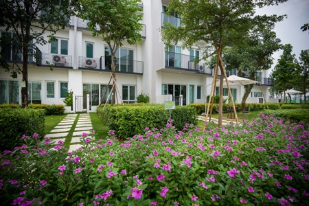 Chán phố đông, giới nhà giàu Hà thành tìm nơi nghỉ dưỡng - 1 Mặt sau của những ngôi nhà ParkCity