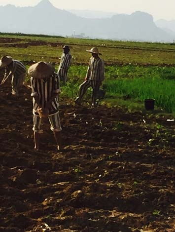 “Sát thủ” Lê Văn Luyện: Những ngày ăn năn trong trại giam - 3 Phạm
nhân Lê Văn Luyện lao động cải tạo tại Trại giam số 3.