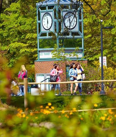 Điểm khác biệt của Lane