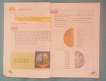 Yêu cầu HS lớp 2 nhớ tên 5 hoa hậu thế giới - 4 Bài 9