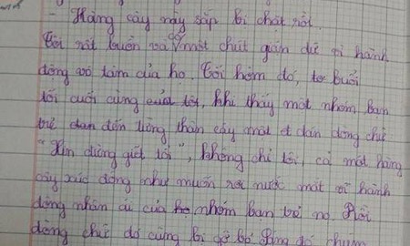 Đưa chuyện “Hà Nội chặt cây” vào bài văn lớp 4 - 2 Những dòng tâm sự của học trò lớp 4 về việc chặt cây xanh