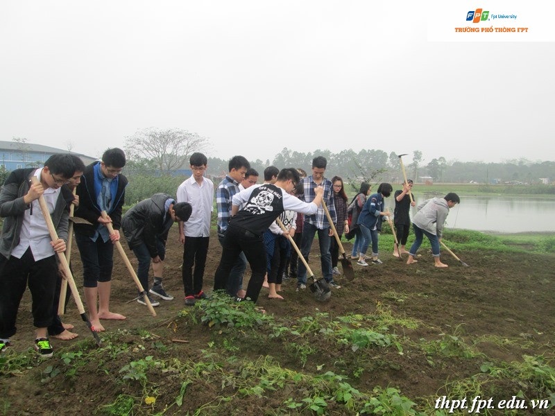 Tư vấn “Bí quyết giúp con trưởng thành độ tuổi 15-18” - 15 Học sinh THPT FPT với dự án trồng rau sạch ngay tại khuôn viên trường