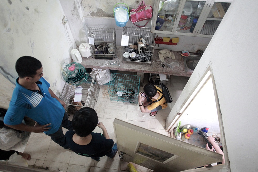 Hà Nội: “Biệt đội" giải cứu chó mèo - 1 Đến nay biệt đội cứu hộ chó mèo này có rất đông tình nguyện viên, rải rác khắp Hà Nội