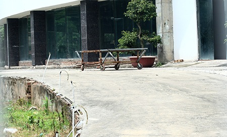 Cỏ hoang xâm lấn...