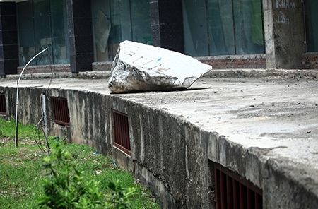 Cỏ hoang xâm lấn...