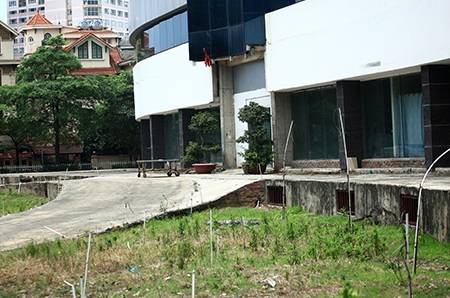 Tường gạch bong tróc