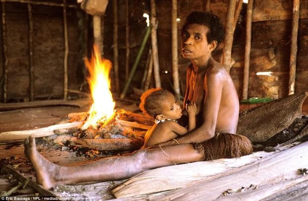 Bí mật về bộ tộc sống trên cây và không biết đến sự tồn tại của loài người - 9 Mặc dù dựng nhà bằng gỗ trên thân cây, người Korowai vẫn sử dụng lửa để nấu nướng và sưởi ấm.