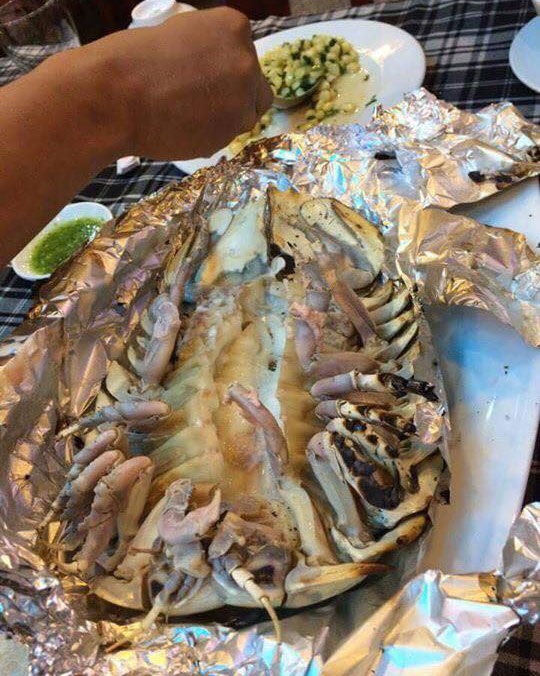 Bọ biển: Món ăn đáng sợ nhưng đắt giá của nhà giàu - 4 Bọ biển ngon nhất là hấp hoặc nướng. (Ảnh: vietnamnet)