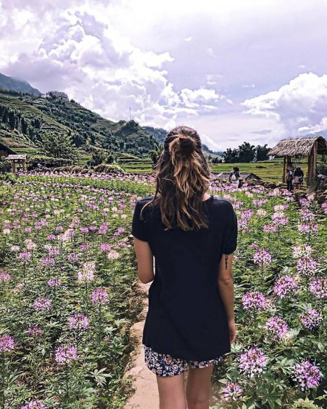 Vườn hoa hồng ri – điểm check in mới nổi giữa “ngôi làng đẹp nhất Tây Bắc” - 5 Ảnh: fraeuleinfrech