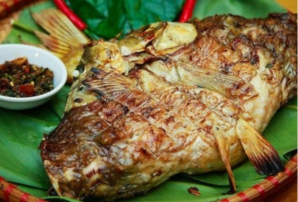 Đặc sản “hạt vàng đen” trên núi Na Hang - 3 Hạt dổi có thể dùng làm gia vị hoặc ướp thịt, cá,…( Ảnh: hatdoirung.net)
