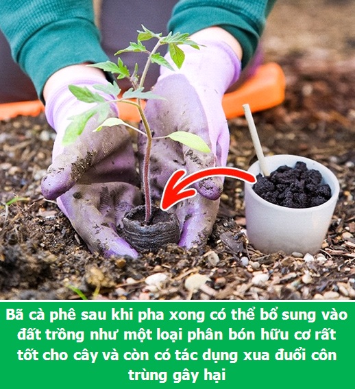Những mẹo vặt cực hay giúp đơn giản hóa việc nhà - 3 Những mẹo vặt cực hay giúp đơn giản hóa việc nhà - 3