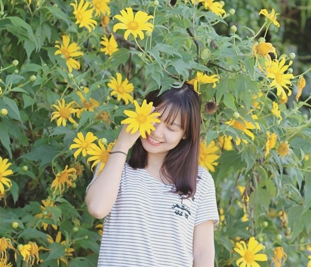 Rong ruổi trên những cung đường “săn” hoa dã quỳ Đà Lạt - 4 Hoa mọc bạt ngàn khắp các con đường. (Ảnh: kenlaiz)