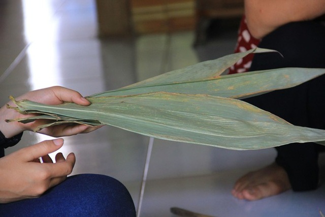 Kiếm tiền tỷ ở Việt Nam nhờ những ý tưởng “không giống ai” - 2 Những chiếc lá tre tưởng chừng không có giá trị nhưng lại làm nên cơ đồ. (Ảnh: vietnamnet)