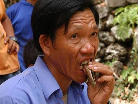 Hãi hùng những dị nhân tráng miệng bằng… đèn neon, côn trùng sống - 3 Ngoài rắn độc, ông Tùy còn chén các loại côn trùng khác như cóc, ếch, rắn mối. (Ảnh: vietnamnet)