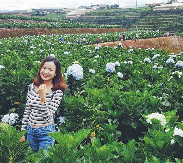 Check - in tại cánh đồng hoa cẩm tú cầu đẹp ngất ngây ở Đà Lạt - 5 Ảnh: huyenoanhpham