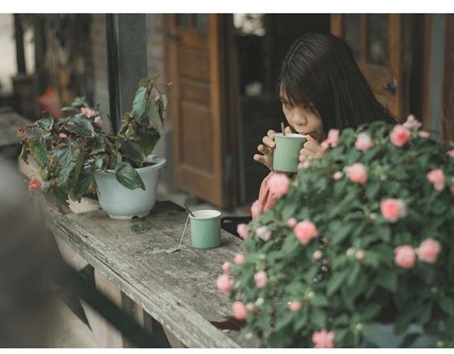 Mê mẩn với những quán cà phê “đưa tay chạm vào mây” ở Việt Nam - 2 Những chậu hoa tạo nên khung cảnh lãng mạn, nhẹ nhàng. (Ảnh: changg.94)