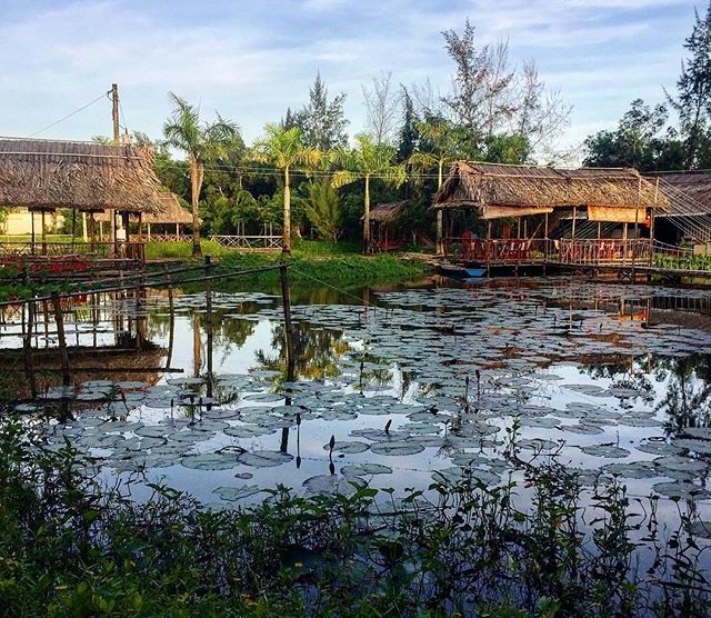 Ngỡ ngàng cánh đồng quạt gió đẹp như trời Tây ở Bạc Liêu - 11 Ảnh: kimlamia