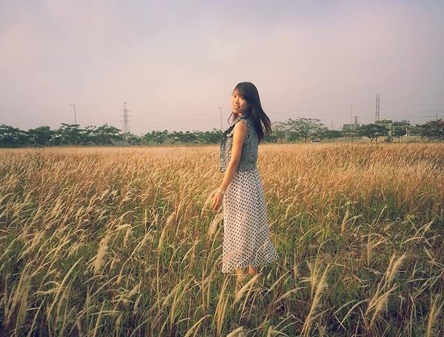 3 điểm chụp ảnh với cỏ lau đẹp mê hồn ở Hà Nội - 2 Những bông cỏ lau bình dị và thân quen có một sức hút mãnh liệt đối với giới trẻ. (Ảnh: hana_tran_2808)
