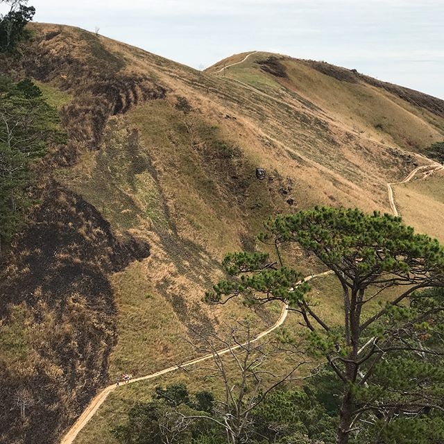 Mê mẩn với mùa cỏ cháy ở “cung đường trekking đẹp nhất Việt Nam” - 1 Ảnh: benn.heoo