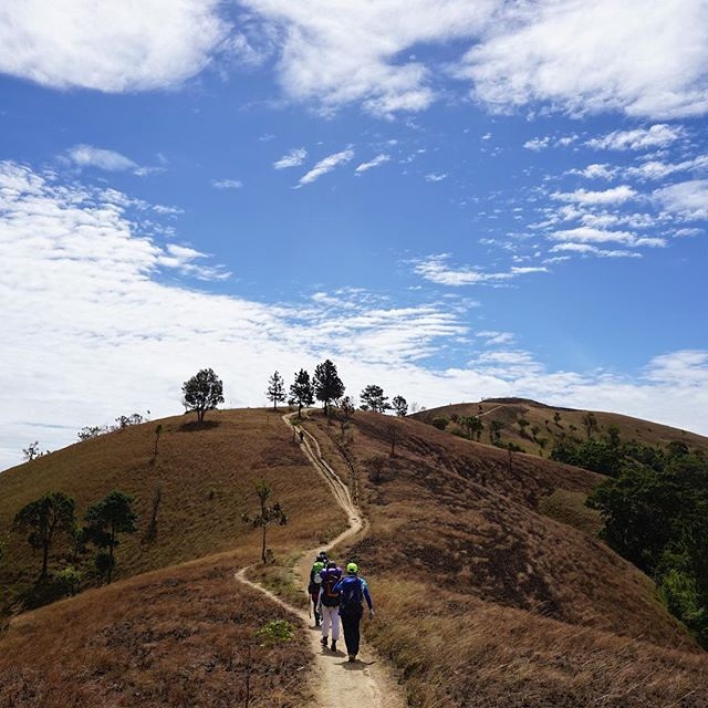 Mê mẩn với mùa cỏ cháy ở “cung đường trekking đẹp nhất Việt Nam” - 4 Ảnh: mcdnguyen