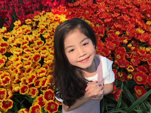 Ra mắt lễ hội Tulip lớn nhất Việt Nam tại Vinpearl Nha Trang - 9 Ra mắt lễ hội Tulip lớn nhất Việt Nam tại Vinpearl Nha Trang - 9