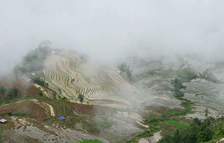 Ruộng bậc thang ở Y Tý đang vào mùa đẹp nhất trong năm