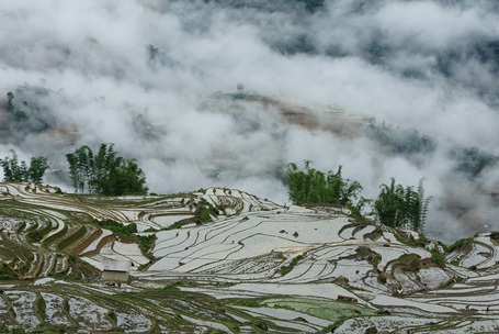 Cánh đồng ruộng bậc thang ở thôn Lao Chải
