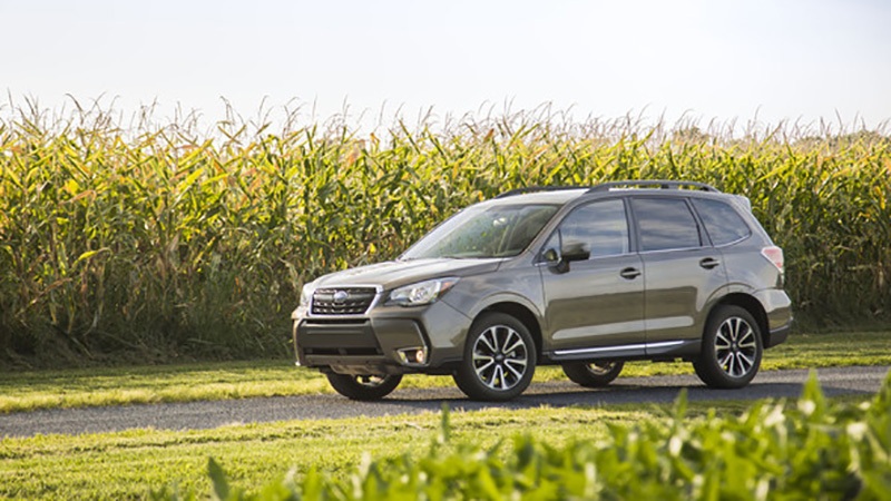 Năm 2016 - Thương hiệu nào làm hài lòng khách hàng nhất? - 7
4. Subaru: Một sự khác ngạc nhiên lớn khi thương hiệu ôtô Nhật Bản này có vị trí khá cao đối với người tiêu dùng Mỹ; vận hành linh hoạt, trang bị an toàn phong phú cùng sức mạnh đáng nể... với nhiều người, đây mới chính là niềm tự hào của nền công nghiệp ôtô Nhật Bản.