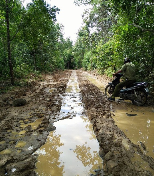 Tìm thấy nam thanh niên mất tích 4 ngày trong rừng sâu - 1 Địa bàn nơi anh Lộc mất tích rất hiểm trở, rừng rậm