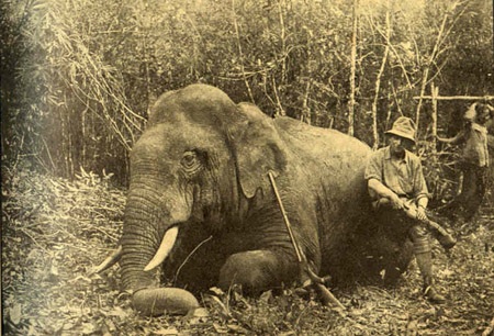 Hình hiếm về cảnh săn bắn ở Đông Dương thời Pháp thuộc - 10 Fernand Millet chụp ảnh bên cạnh chú voi rừng mà mình vừa săn bắn