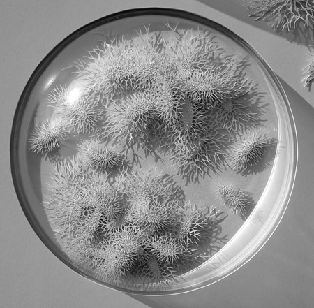 Chân dung nghệ sĩ người Pháp Rogan Brown (bên phải).