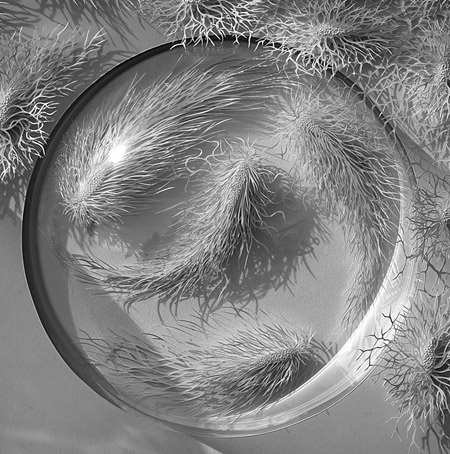 Chân dung nghệ sĩ người Pháp Rogan Brown (bên phải).