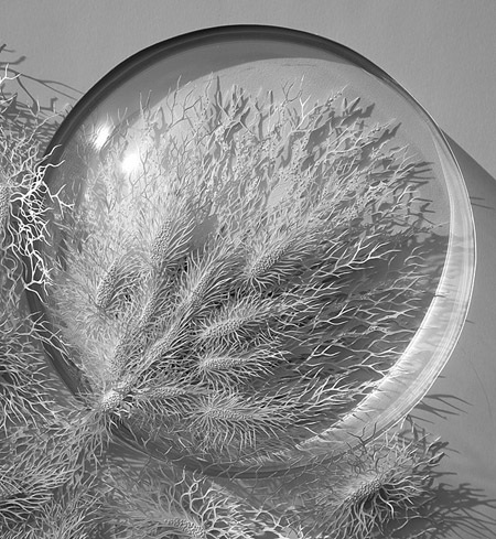 Chân dung nghệ sĩ người Pháp Rogan Brown (bên phải).