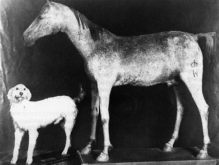 Dấu tích xác định nguồn gốc của Vizir với chữ N và hình vương miện bên trên.