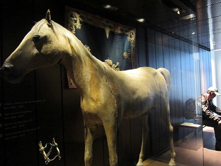 Vizir trong lồng kính tại bảo tàng Musée de l'Armée (Paris).